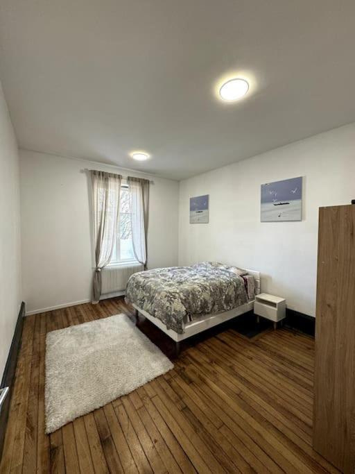 L Appart A La Gare Apartment Nancy Luaran gambar
